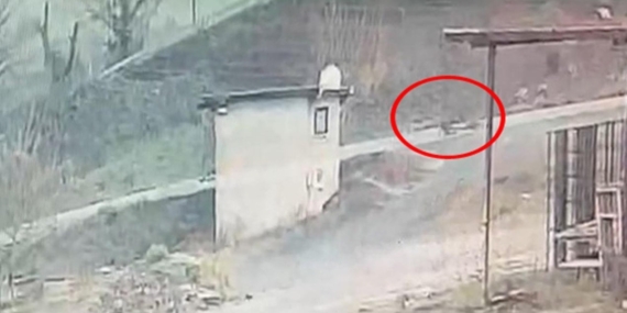 Ereğli’de Motosiklet Kazası: Genç Sürücü Hayatını Kaybetti