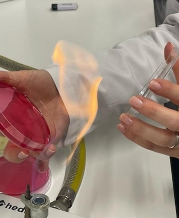 Seramiklerdeki Mikro Çatlaklar Sağlığı Tehdit Ediyor!