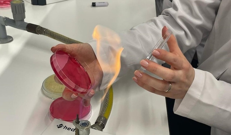 Seramiklerdeki Mikro Çatlaklar Sağlığı Tehdit Ediyor!