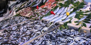 Tuzlu Balığın Sağlığa Zararı: Kanser Riski Uyarısı