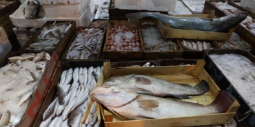 Kışın Süper Besini: Uskumruyu Sofranızdan Eksik Etmeyin!