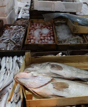 Kışın Süper Besini: Uskumruyu Sofranızdan Eksik Etmeyin!