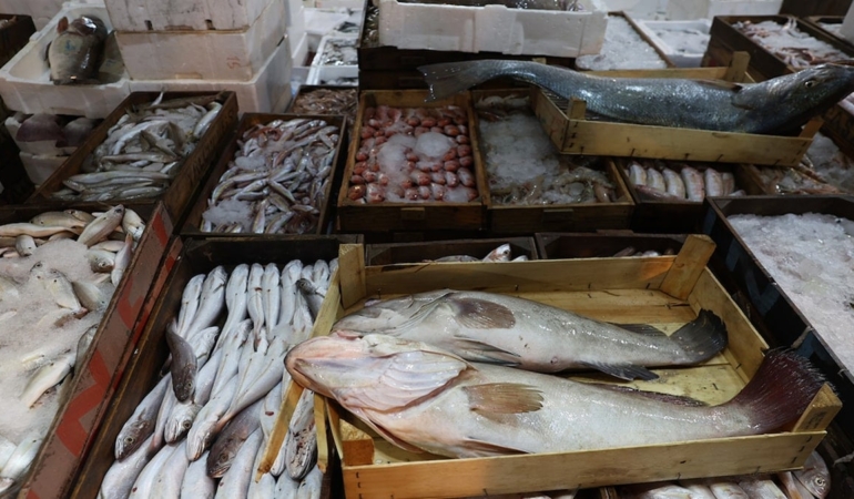 Kışın Süper Besini: Uskumruyu Sofranızdan Eksik Etmeyin!