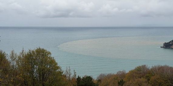 Bartın Irmağı’nın Çamuru Denizi Kahverengiye Döndürdü