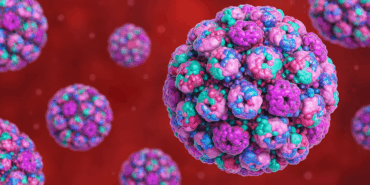 Böbrek Nakli ve Mesane Kanseri İlişkisi Keşfedildi