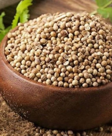 Kişniş: Kalp Sağlığının Doğal Destekçisi