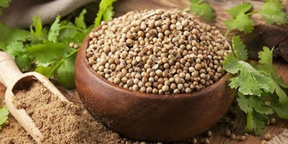 Kişniş: Kalp Sağlığının Doğal Destekçisi