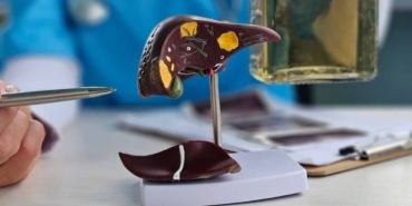 Alkol: Karaciğer Sağlığına Sessiz Tehdit!