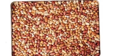 Hafızayı Güçlendiren Kuruyemişlerin Sırrı!