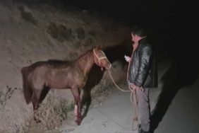 Malatya’da Kaçan Taylar, Karayolunda Facia Yarattı