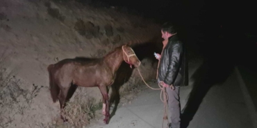 Malatya’da Kaçan Taylar, Karayolunda Facia Yarattı