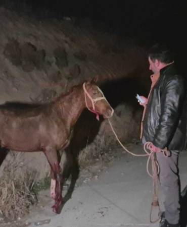 Malatya’da Kaçan Taylar, Karayolunda Facia Yarattı