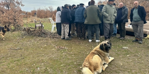 Vali Aygöl’den Hozat’ta Ponza Ocağı İptali