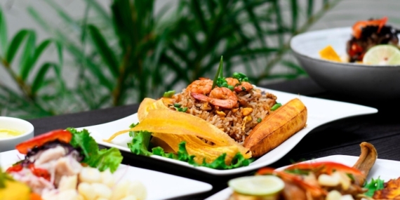 İştah ve Enerji Yönetiminde Yeni Protein Keşfi