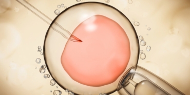 Yapay Rahim Tabakasıyla Embriyo Araştırmalarında Çığır