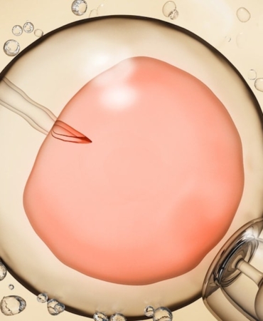 Yapay Rahim Tabakasıyla Embriyo Araştırmalarında Çığır