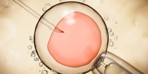 Yapay Rahim Tabakasıyla Embriyo Araştırmalarında Çığır
