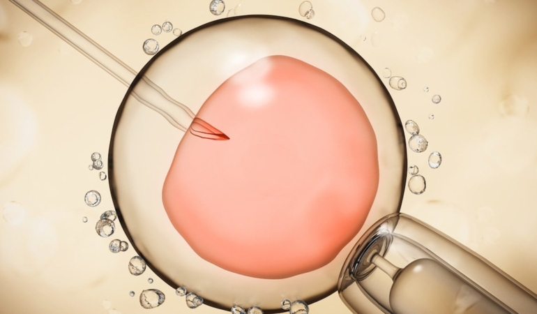 Yapay Rahim Tabakasıyla Embriyo Araştırmalarında Çığır