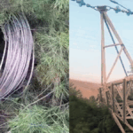 Eyyübiye’de Hırsızlık, Binlerce Abone Elektriksiz Kaldı!