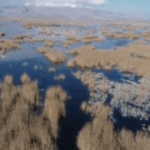 Eber Gölü’ndeki Yangın Yasağı Kaldırıldı!