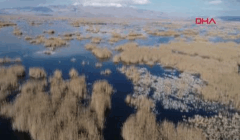 Eber Gölü’ndeki Yangın Yasağı Kaldırıldı!