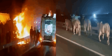 Anguslarla Dolu TIR Kaza Yaptı, Yangın Çıktı!