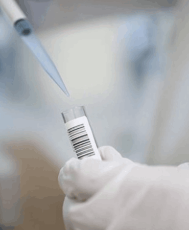 Siirt’te Uyuşturucu Skandalında 30 Gözaltı!