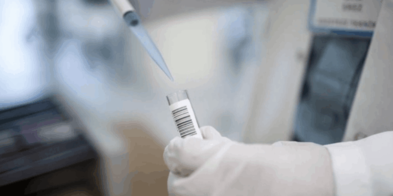 Siirt’te Uyuşturucu Skandalında 30 Gözaltı!