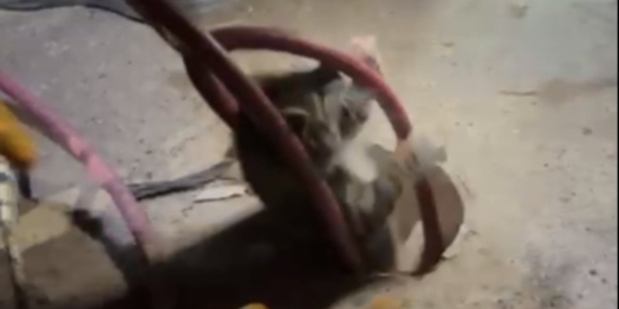 İtfaiye, 18 Metre Derinlikten Yavru Kediyi Kurtardı!