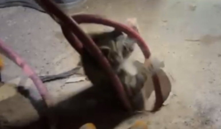 İtfaiye, 18 Metre Derinlikten Yavru Kediyi Kurtardı!