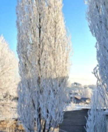Ardahan Göle’de Termometreler Eksi 39,7’yi Gördü!