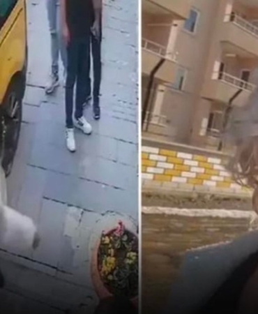 Köpeği Koruyan Kadına 2 Yıl Hapis Cezası