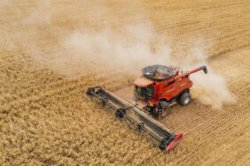 Tarım Ürünleri Fiyatları Yüzde 36,01 Arttı!