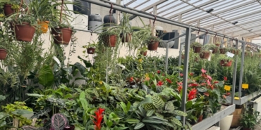 Zirai İlaçlar B-Reçete ile Kontrol Altında!