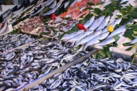 Sardalya: Sağlığın ve Ekonominin Dostu Balık