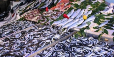 Sardalya: Sağlığın ve Ekonominin Dostu Balık