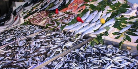 Sardalya: Sağlığın ve Ekonominin Dostu Balık