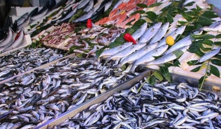 Sardalya: Sağlığın ve Ekonominin Dostu Balık