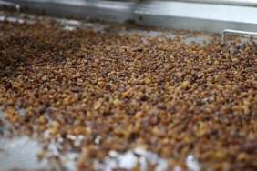 Kuru Üzüm: Sağlığın Gizli Kahramanı