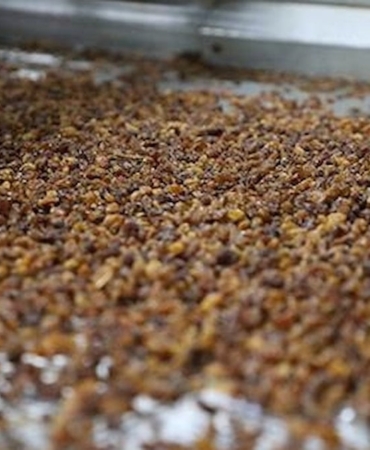 Kuru Üzüm: Sağlığın Gizli Kahramanı