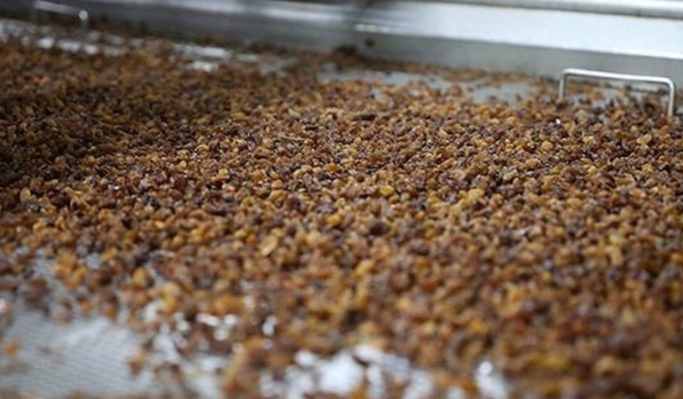 Kuru Üzüm: Sağlığın Gizli Kahramanı