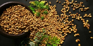 Kişniş: Kalp Sağlığının Gizli Kahramanı!