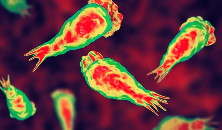 Amipler Su Sistemlerinde Gizli Tehdit Oluşturuyor!