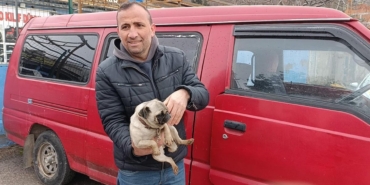 Amasya’da Oto Yıkamada Yangın: Yavru Köpek Kurtarıldı