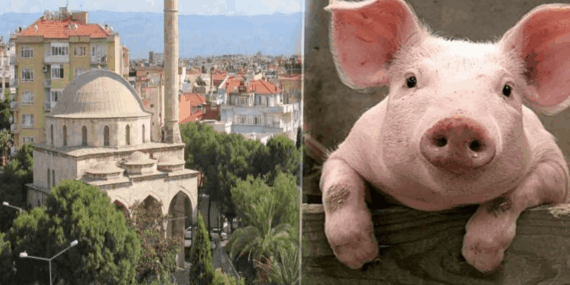 Kasap, Domuz Etini Cami Önünde Dağıttı!